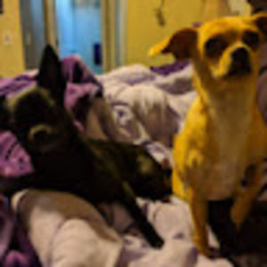 Meet your Posher, Veronica